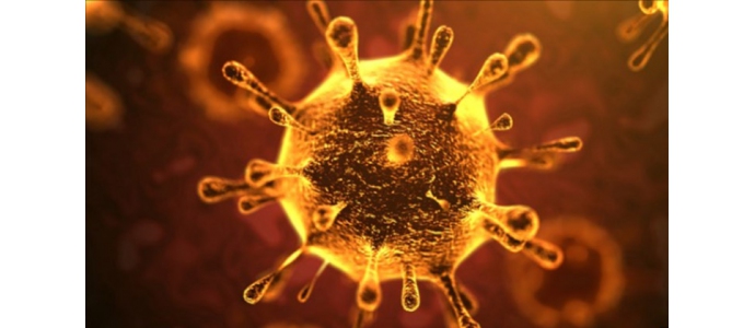 توصیه های وزارت بهداشت برای کاهش خطر ابتلا به ویروس کرونا: